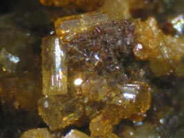 willemite-(coll & photo JDV)
